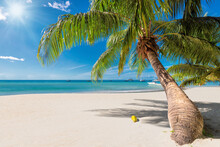 Tropical Sunny Beach And Coco Palms On White Sand In Paradise Island. Summer Vacation And Tropical Beach Concept.