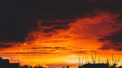 Beautiful sunset over the village. Fluffy clouds.