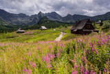 Fototapeta Paryż - cabaña, Valle de gasienicowa , parque nacional Tatra, voivodato de la Pequeña Polonia, Cárpatos,  Polonia, europe