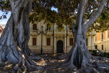 Wall Mural - Old trees framing a liberty style building on Reggio Calabria's waterfront promenade, Italy