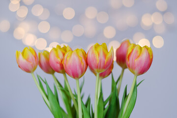 Top view of beautiful pink, yellow tulips on blue background with bokeh. Greeting card. 8 March. Mother's Day. Happy Women's Day.