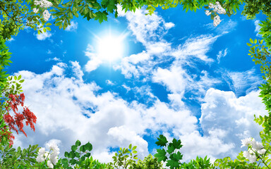 Wall Mural - spring branches in the sky