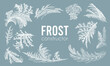 Design element kit, frost ice window pattern, winter christmas set, fresh cool handdrawn graphic