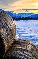 Canvas Print - landscape at the Murnau am Staffelsee moss - bavaria