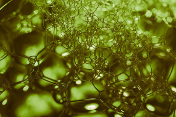 Aufkleber - Close up Beautiful abstract soap bubbles. Background pattern for design. Macro photography view.