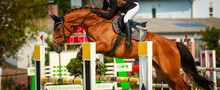 Horse, Jumping Horse Jumping With Rider During A Tournament..