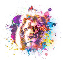 Lion Head With Splashes