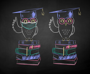 Wall Mural - student owl sitting on books