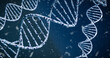 canvas print picture - DNA Stränge mit Partikeln