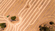 © Caro Telfer/Austockphoto - Aerial view of harvesting a cereal crop