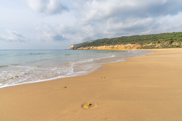 Poster - peaceful sandy beach with gentle waves and tree covered cliffs in the background