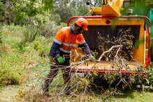 Tradie Feeding Branches Into Wood Chipping Machine