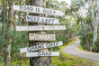 © Gary Chapman/Austockphoto - Comical hand painted signs nailed to a tree beside a country road
