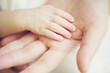 © Elise Garner/Austockphoto - Adult hand with baby hand