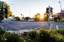 Garden and traffic lights at intersection at sundown