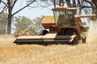 © Gary Chapman/Austockphoto - A harvester working in a farmers grain crop