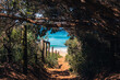 © Gillian Vann/Austockphoto - secret pathway to the beach, secret location available upon request