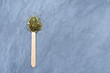 Dried herbs and spices in a wooden spoon on a gray concrete background. Provencal herbs, basil, rosemary, oregano, marjoram, thyme, sage, mint, thyme. space for text