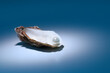 © Tetra Images/Tetra Images - Oyster pearl on gray background