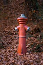 Fire Hydrant In The Park