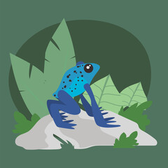 Canvas Print - blue frog with leaves at jungle vector design