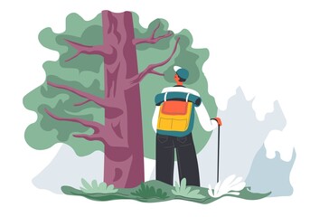 Wall Mural - traveling and hiking in wood forest with backpack