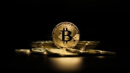 Cryptocurrency bitcoin the future coin