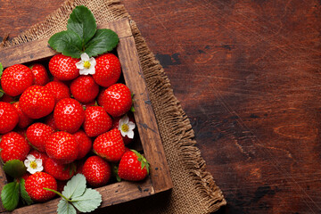 Wall Mural - Ripe garden strawberry