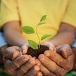 © Igor Yaruta - Senior man and child holding young green plant in hands