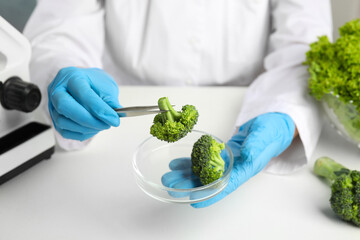 Wall Mural - scientist with broccoli at table in laboratory, closeup. poison detection