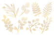 Set leaf veins of gold on white. Vector illustration. 