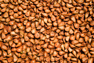 
texture of cut dried pear fruits