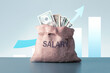 © Sergey - Growing salary concept with bag of money and  growth chart.