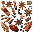 Collection of cspices and beans: cinnamon, cloves, allspice, cocoa beans, hazelnuts, coffee, anise, colorful illustrations, isolated, for custom design and print.