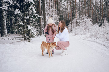 Happy family young mother and little cute girl in pink warm outwear walking having fun with red shiba inu dog in snowy white cold winter forest outdoors. Family sport vacation activities.