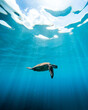 © Daniel Keating/Wirestock - Vertical low angle shot of a turtle swimming in the ocean