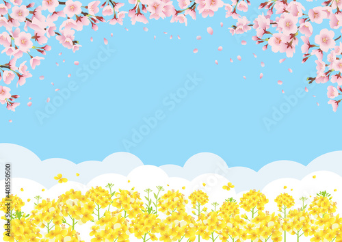 桜と菜の花畑 青空バックの背景イラスト 横長 A3 比率 Wall Mural Pp7
