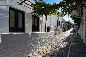 Wall Mural - Buildings and narrow street of traditional architecture in Skyros island, Greece