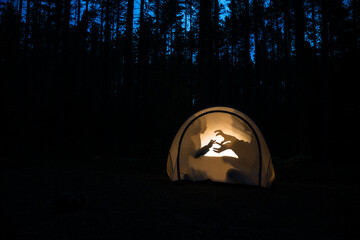 Children making shadow puppets in a camping tent at night