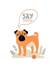 Wall Mural - Vector portrait of Pug. Cartoon illustration with dog and quote 'Say Woof' for print, poster, sticker or card.