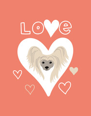 Wall Mural - Vector portrait of Papillon. Cartoon illustration with dog and lettering 'Love' for print, poster, sticker or card.