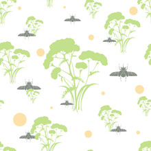 Seamless Pattern With Plants And Bugs Silhouettes. Botanical Ornament With Plants And Insects On White And Transparent Backgrounds.