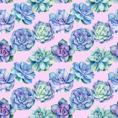  Seamless pattern with succulents plants , watercolor illustration