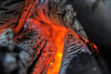 Wall Mural - Dry logs burn on fire