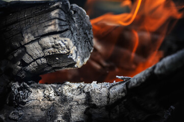 Wall Mural - Dry logs burn on fire - low key stock photo