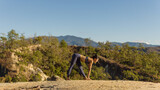Fototapeta Konie - Young good looking woman perform yoga pose on mountain with sun light during sunset