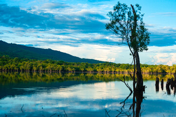 Wall Mural - beautiful view of Liquica lake, Timor Leste