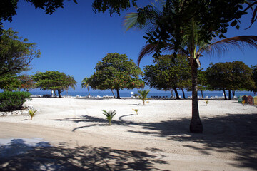 Wall Mural - summer beach