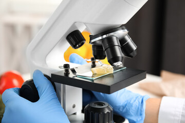 Wall Mural - scientist inspecting slice of lemon with microscope in laboratory, closeup. poison detection