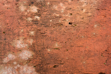 Wall Mural - Red brick texture with losses